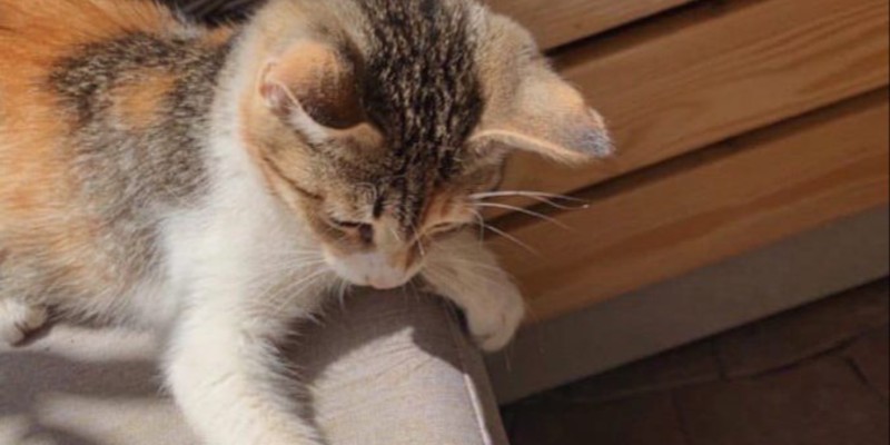 Kapak Fotoğrafı