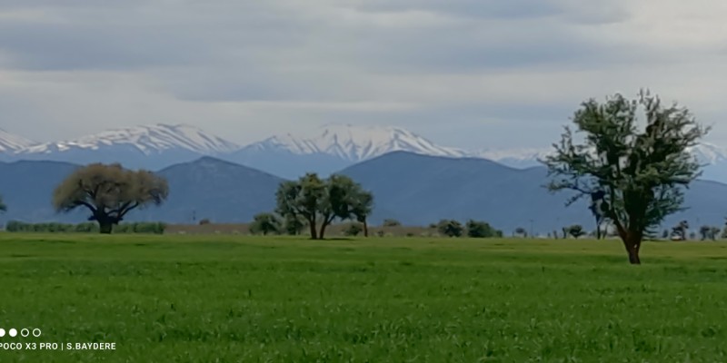 Kapak Fotoğrafı