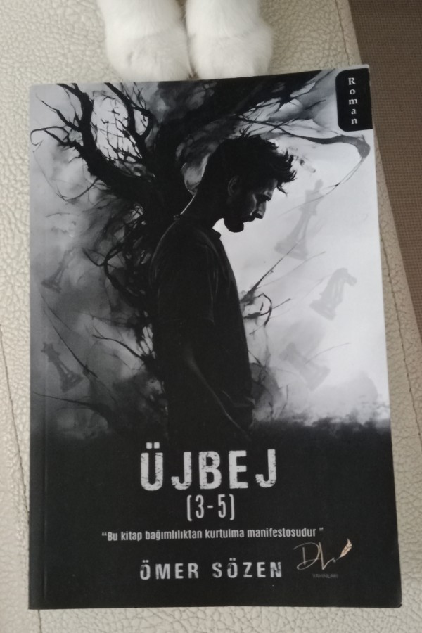 Üj bej